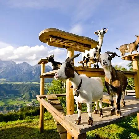 Hotel Planaiblick 3*