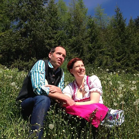 Planaiblick Schladming